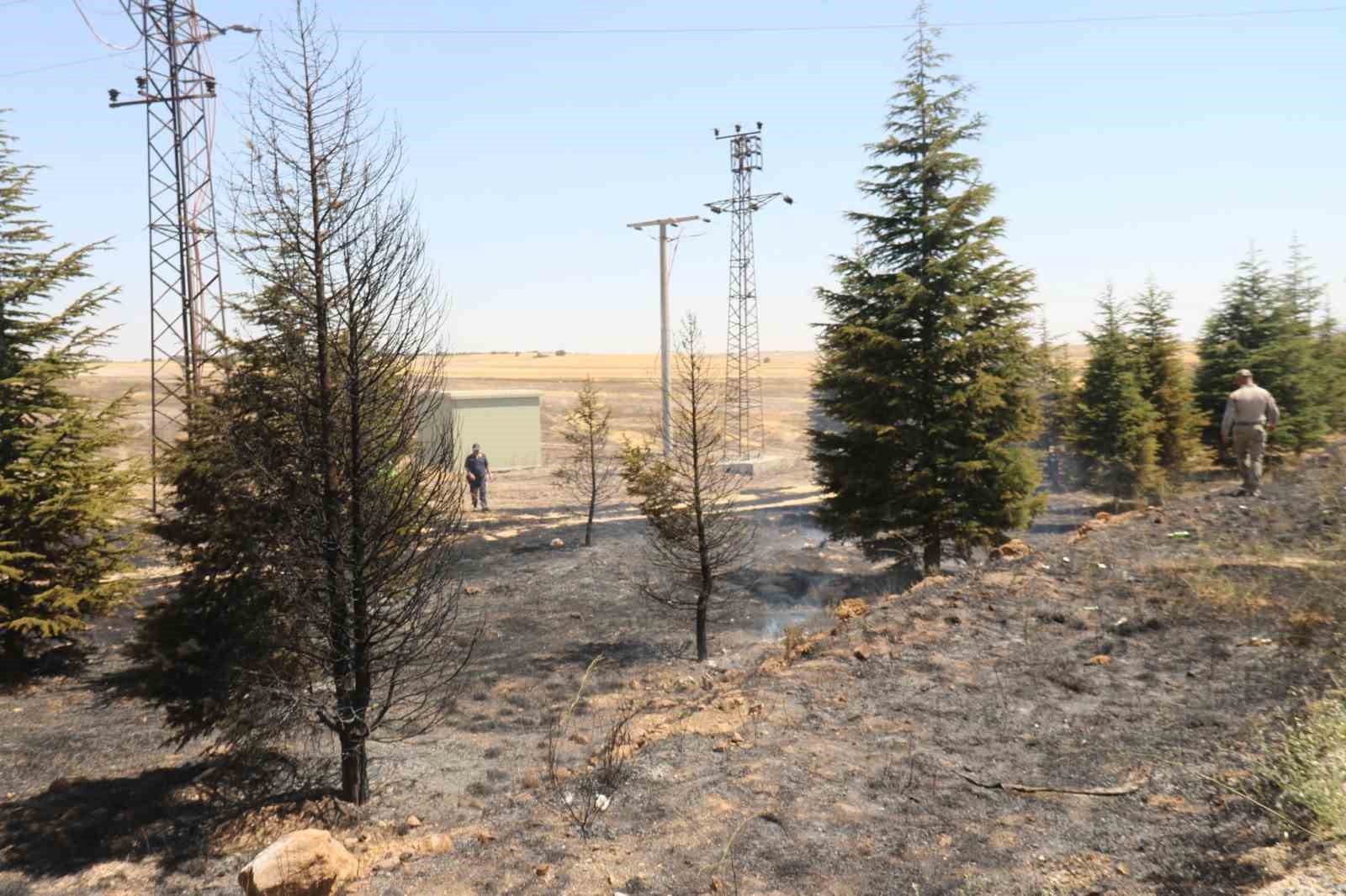 trafodan-cikan-yanginda-50-donum-tarim-arazisi-kul-oldu