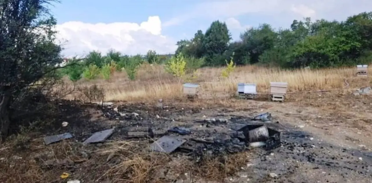 kutahyada-arazi-yangininda-7-ari-kovani-kul-oldu