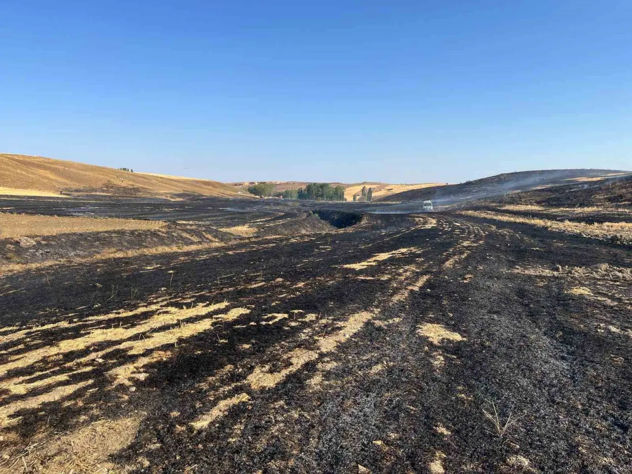 eskisehirde-otluk-alanda-cikan-yangin-ormana-sicramadan-sonduruldu