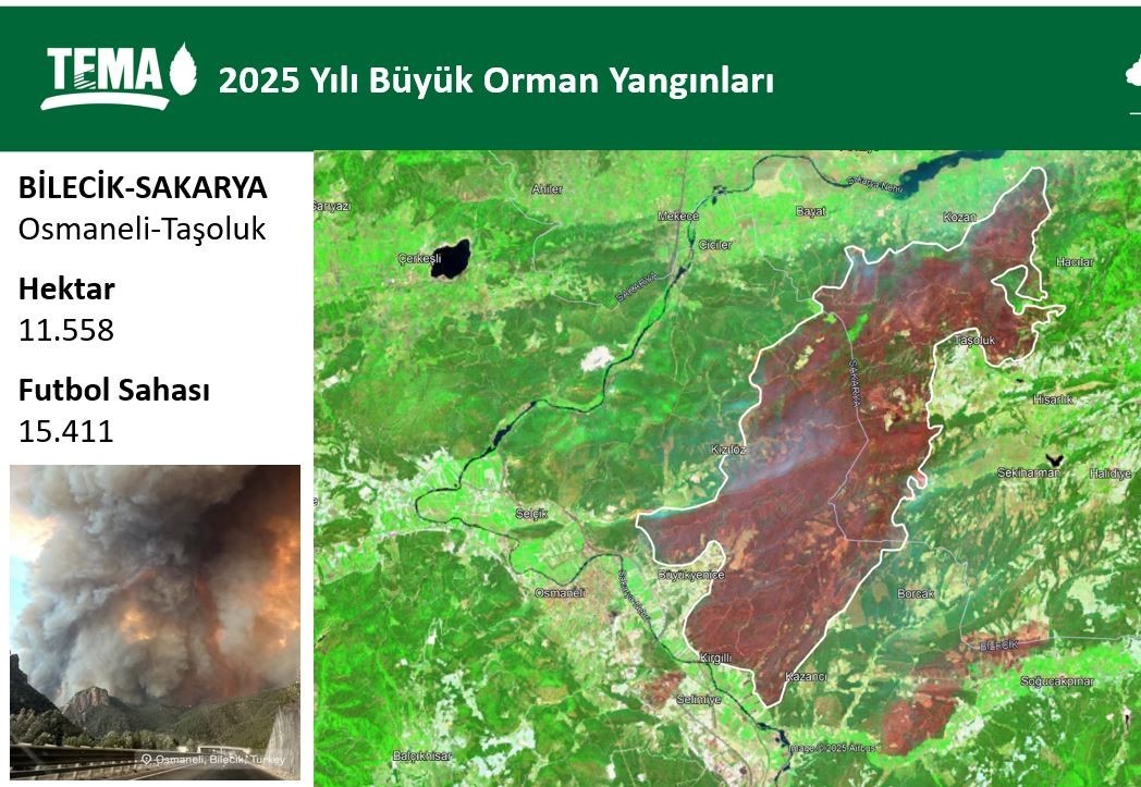 bilecikte-yasanan-orman-yanginlarinda-17-bin-hektar-alan-kul-oldu