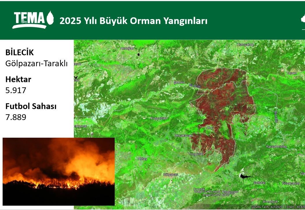 bilecikte-yasanan-orman-yanginlarinda-17-bin-hektar-alan-kul-oldu