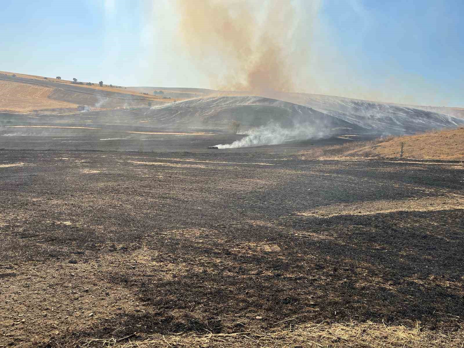 eskisehirde-otluk-alanda-cikan-yangin-ormana-sicramadan-sonduruldu