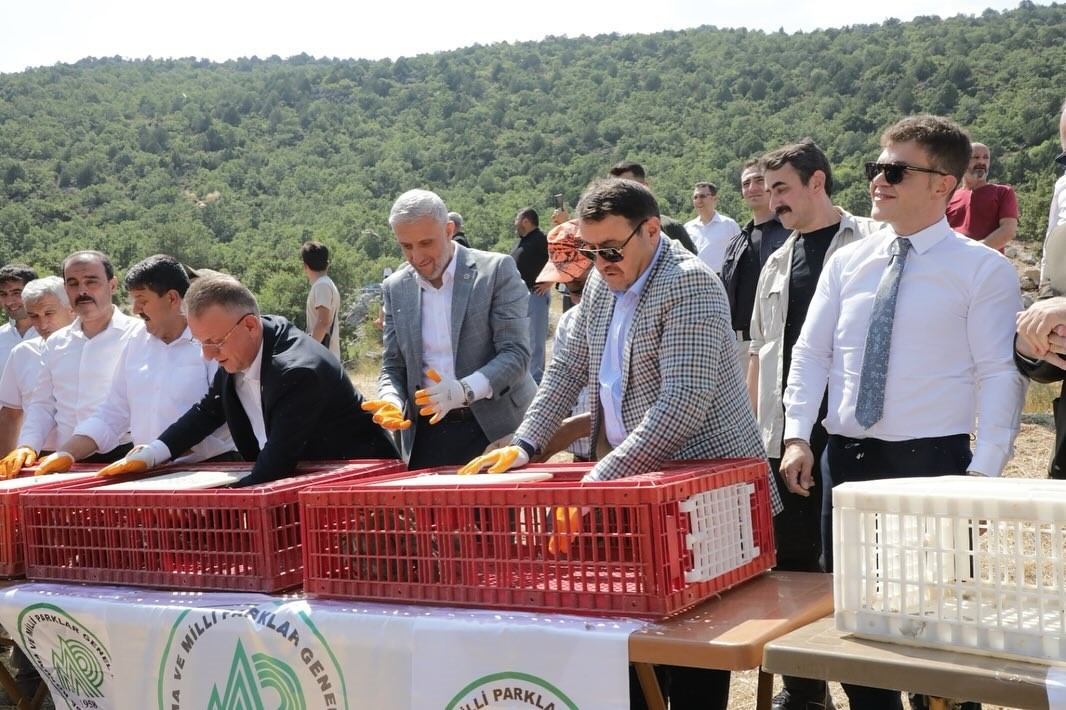 kutahyada-300-keklik-dogaya-salindi