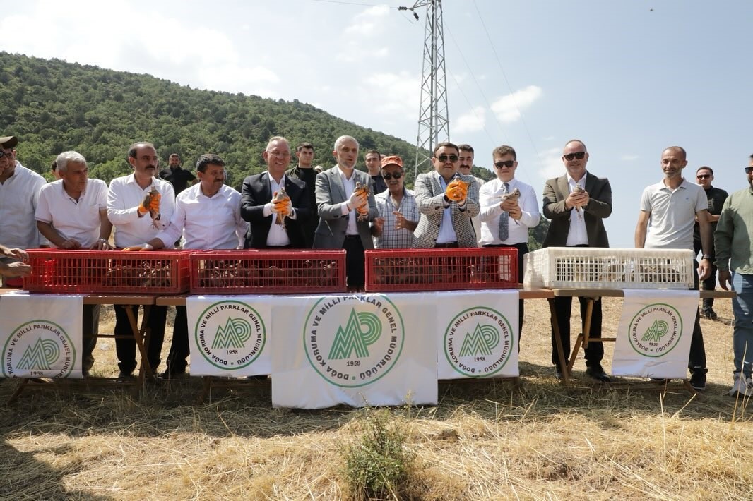 kutahyada-300-keklik-dogaya-salindi