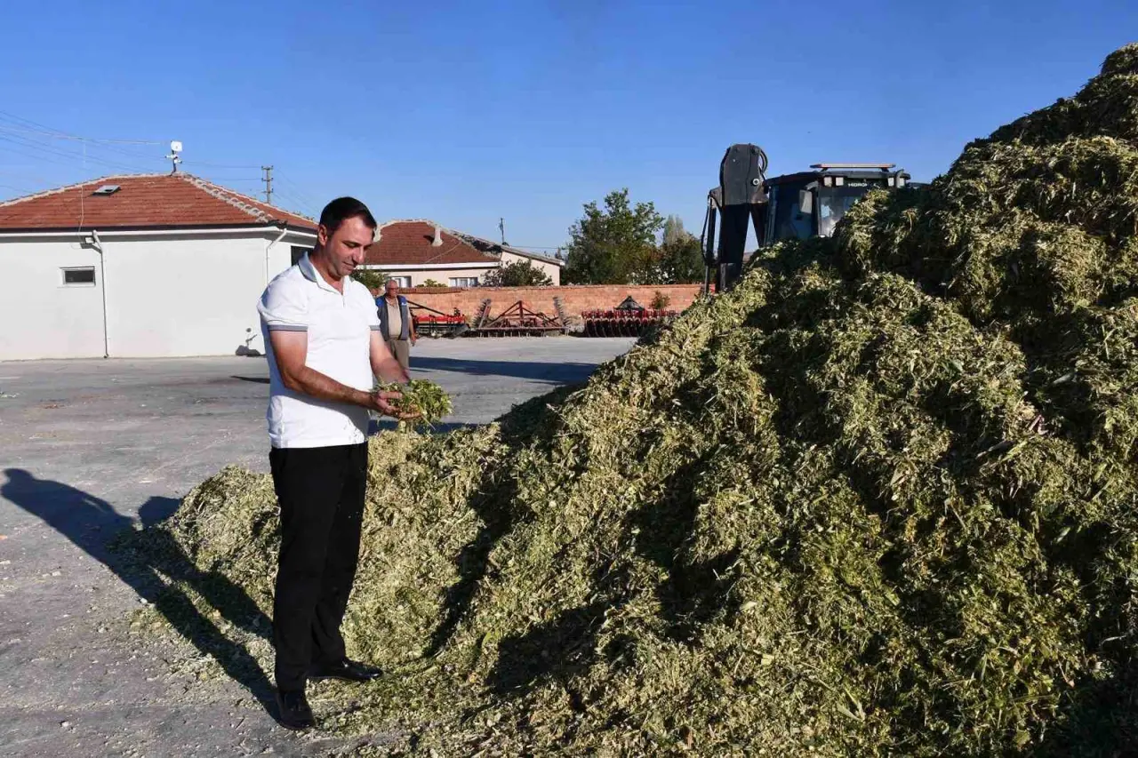 beylikovada-misir-silaji-ve-pancar-kuspesi-paketleme-sezonu-basladi