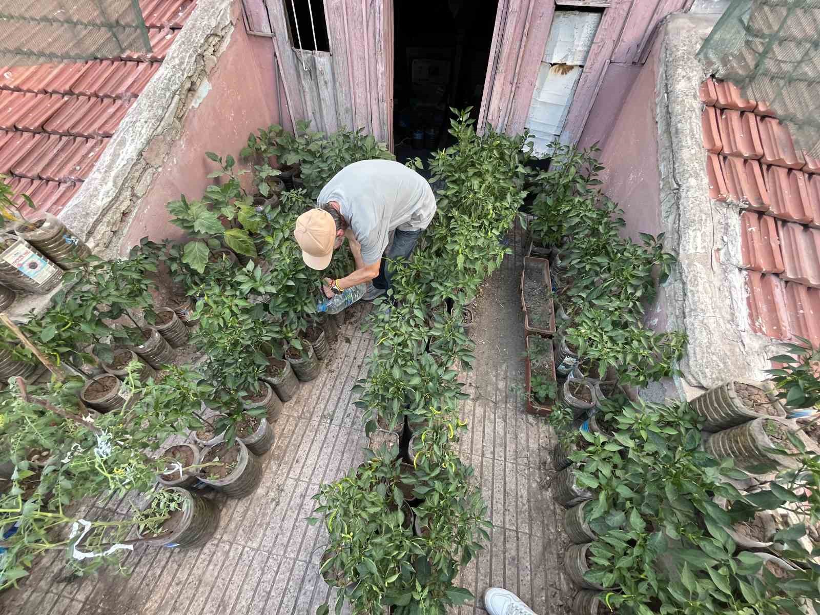 18-metrekarelik-terasini-200-fideyle-bahceye-cevirdi-8-saatini-burada-harciyor