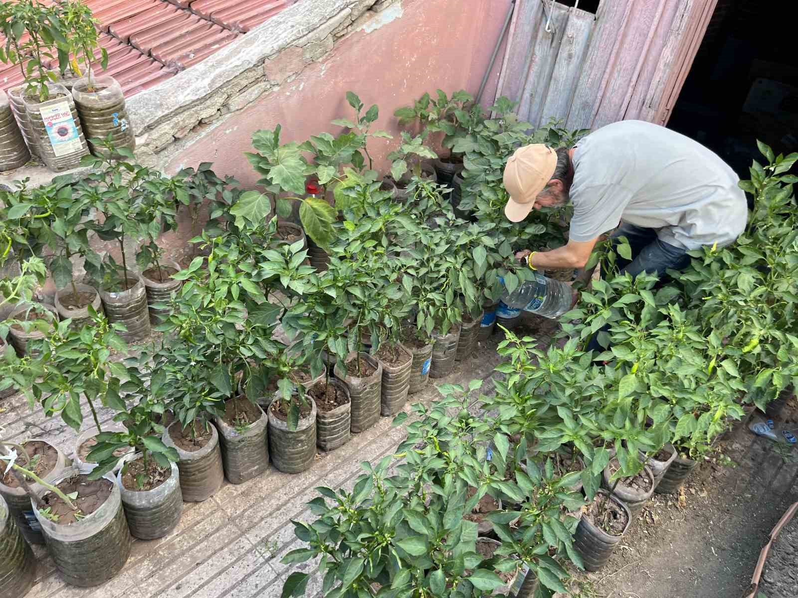 18-metrekarelik-terasini-200-fideyle-bahceye-cevirdi-8-saatini-burada-harciyor