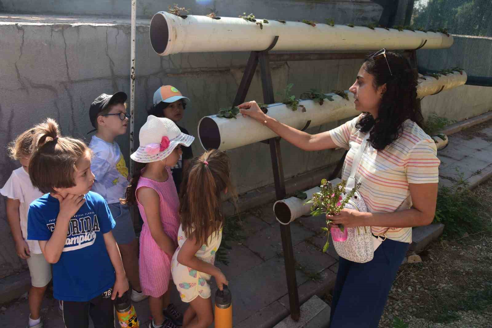 anadolu-universitesi-yunus-emre-kampusunde-cevre-duzenlemesi