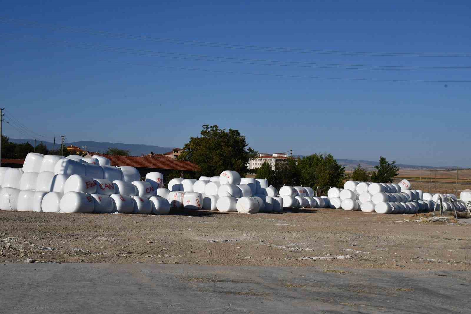 beylikovada-misir-silaji-ve-pancar-kuspesi-paketleme-sezonu-basladi