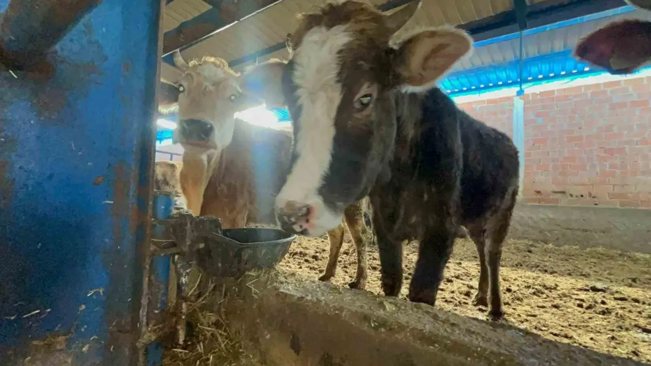 besiciler-donan-su-sebeklerini-acmak-icin-ugrasiyor