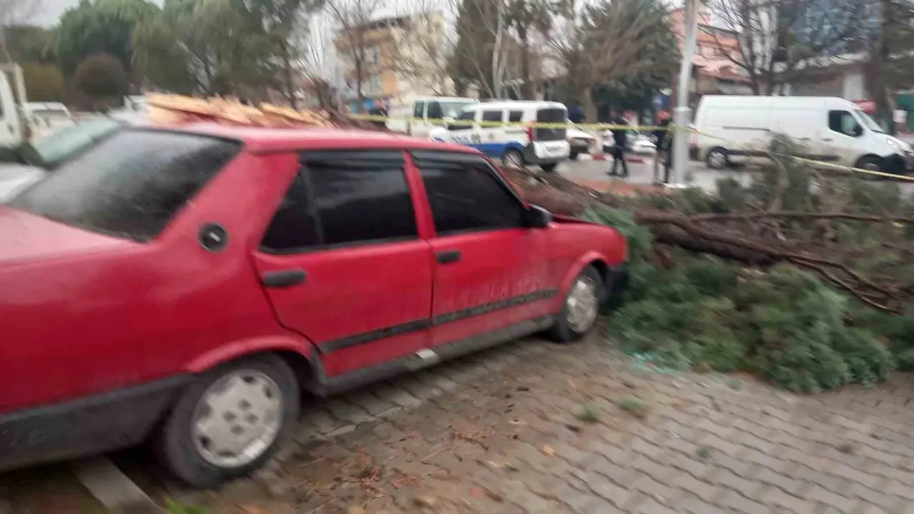 gedizde-siddetli-ruzgar-agaclari-devirdi-binalarda-hasara-sebep-oldu