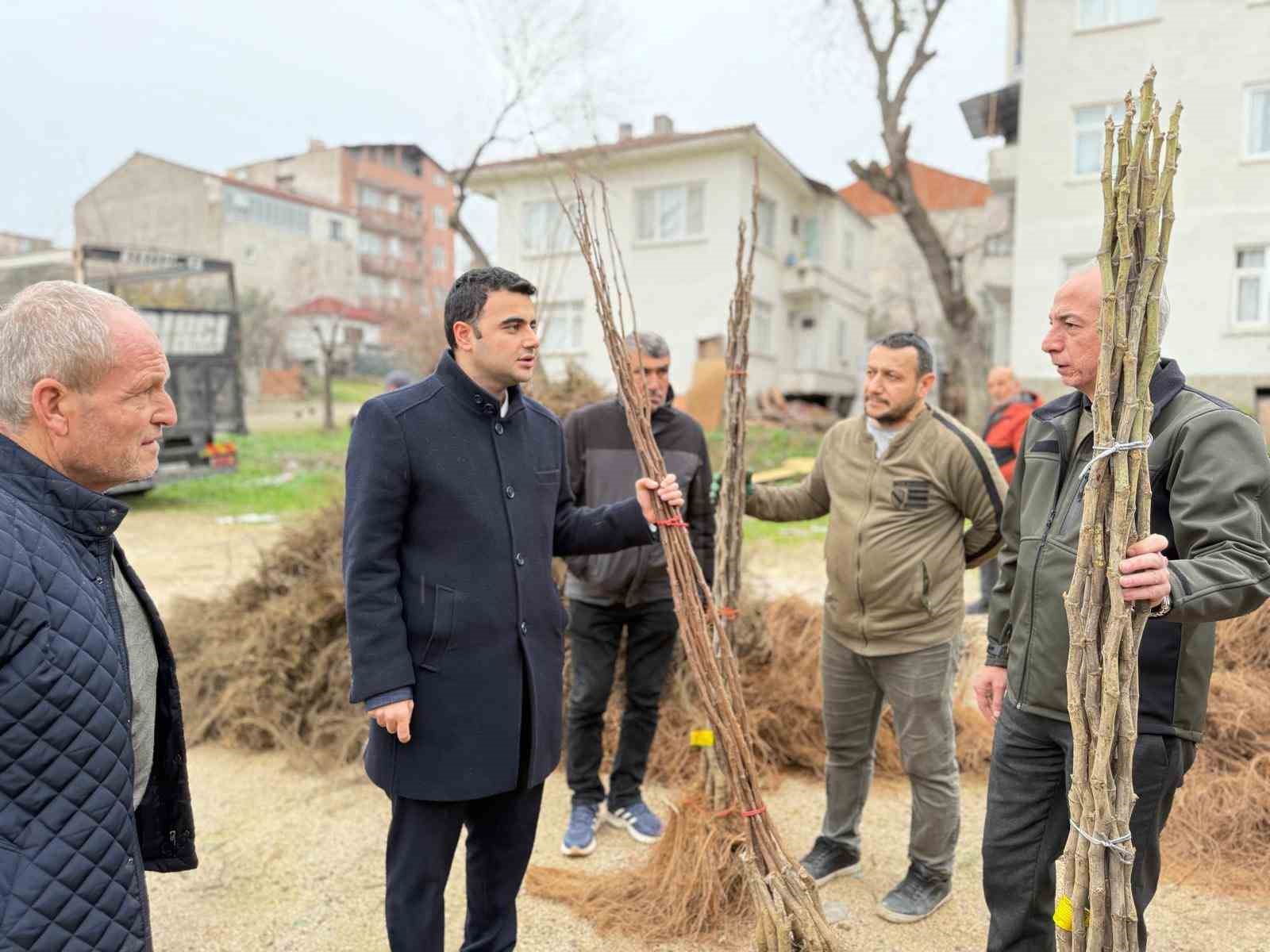 bilecikte-ciftcilere-meyve-fidani-destegi