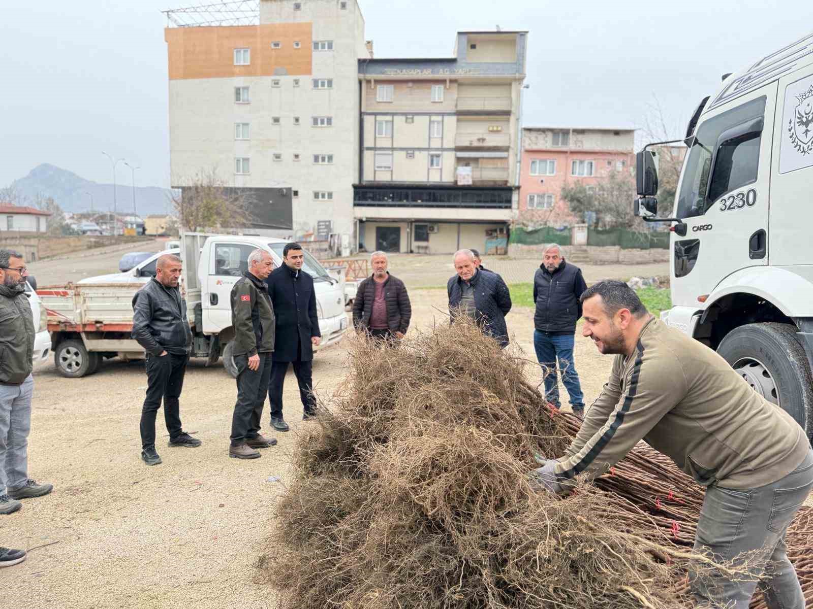 bilecikte-ciftcilere-meyve-fidani-destegi