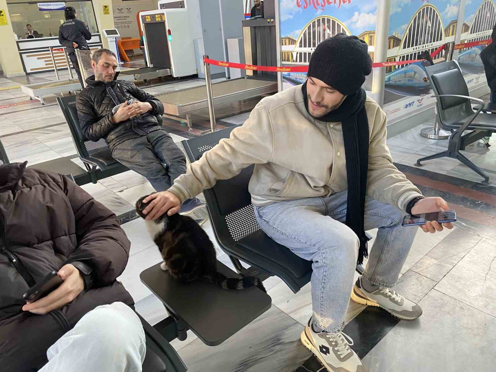 catida-mahsur-kalmis-gibi-bagirip-genclerle-oynayan-kedi-yine-aynisini-yapti