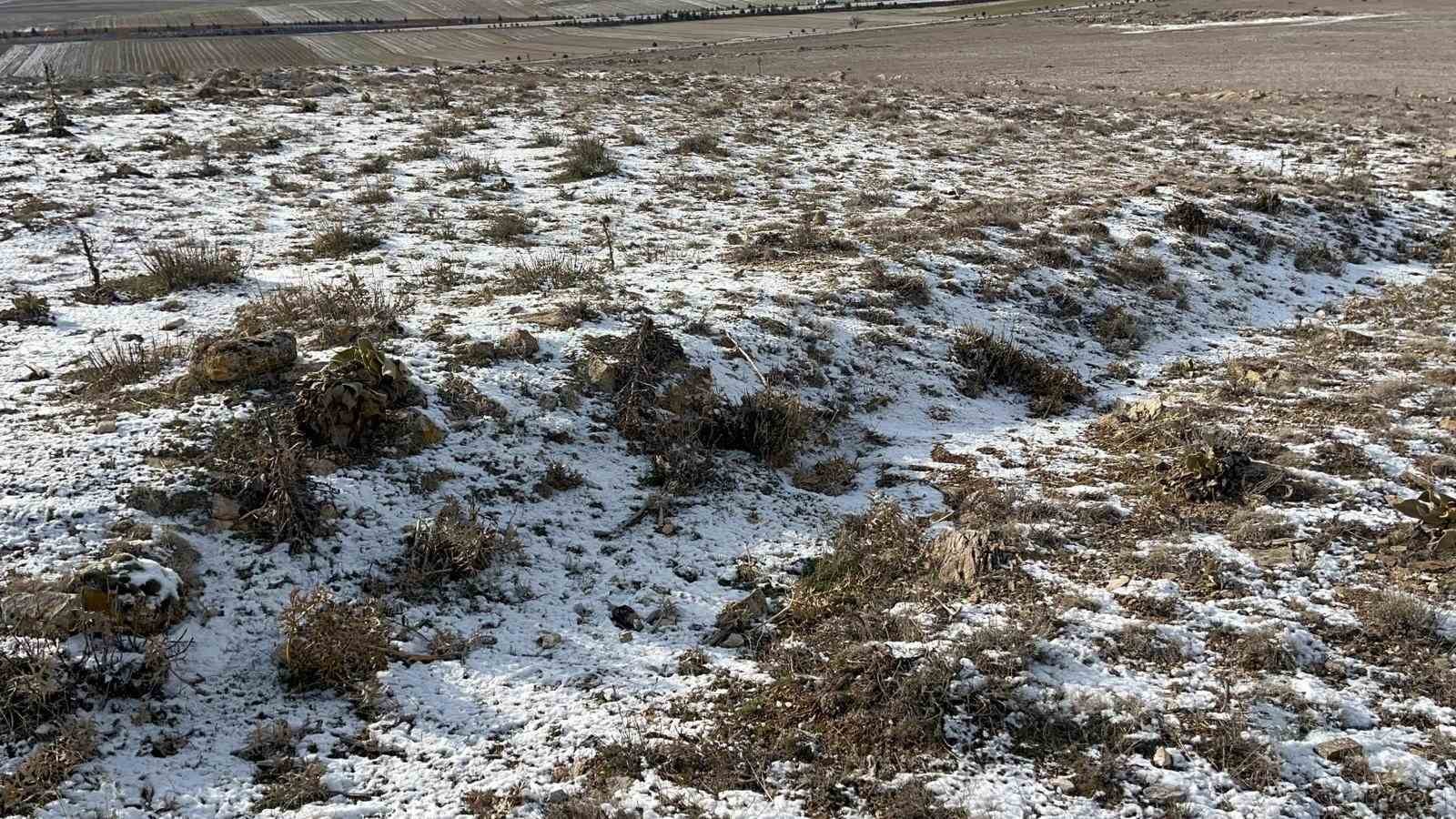 eskisehirdeki-koyde-ilginc-arazi-sikintisi