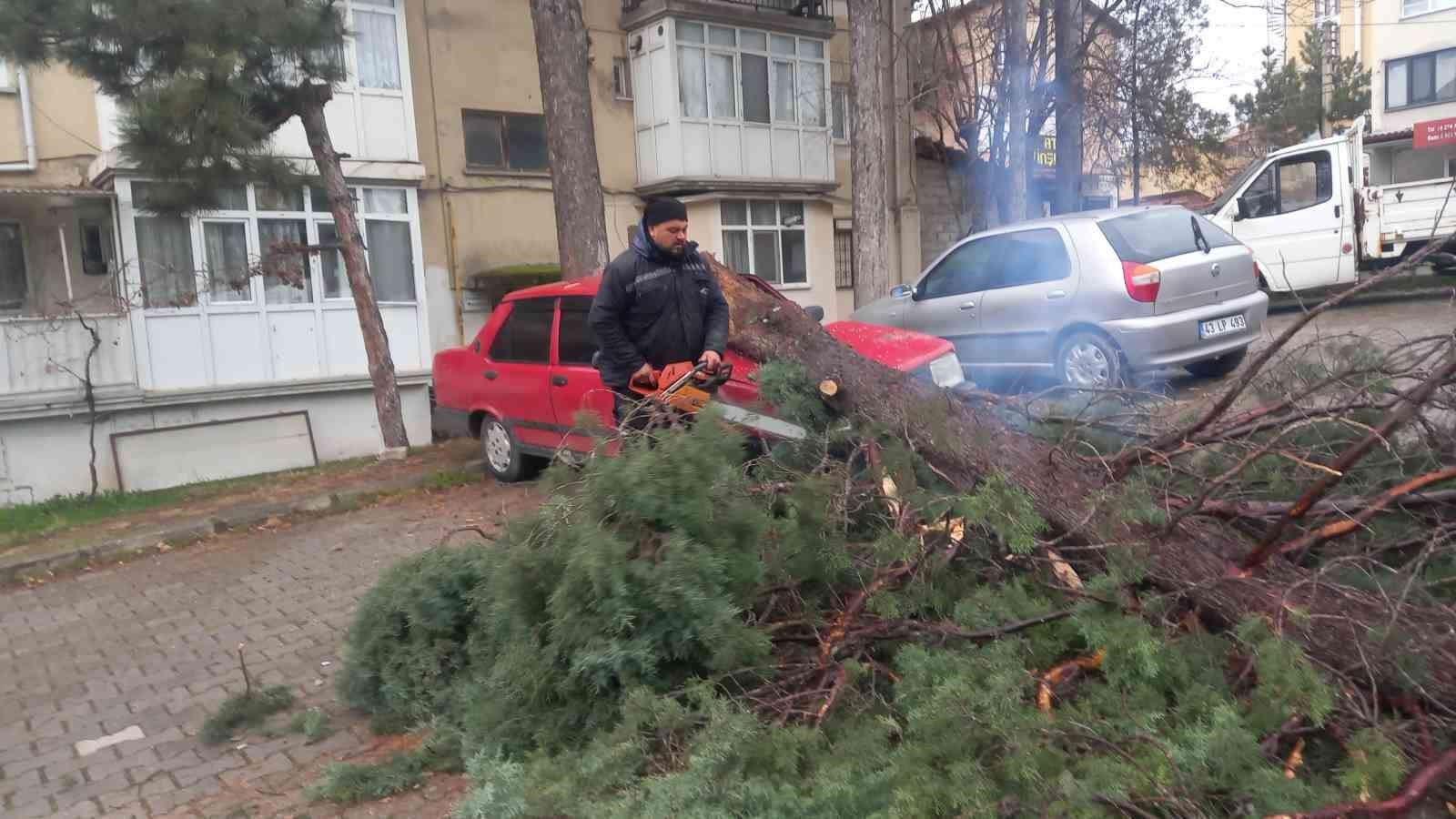 gedizde-siddetli-ruzgar-agaclari-devirdi-binalarda-hasara-sebep-oldu