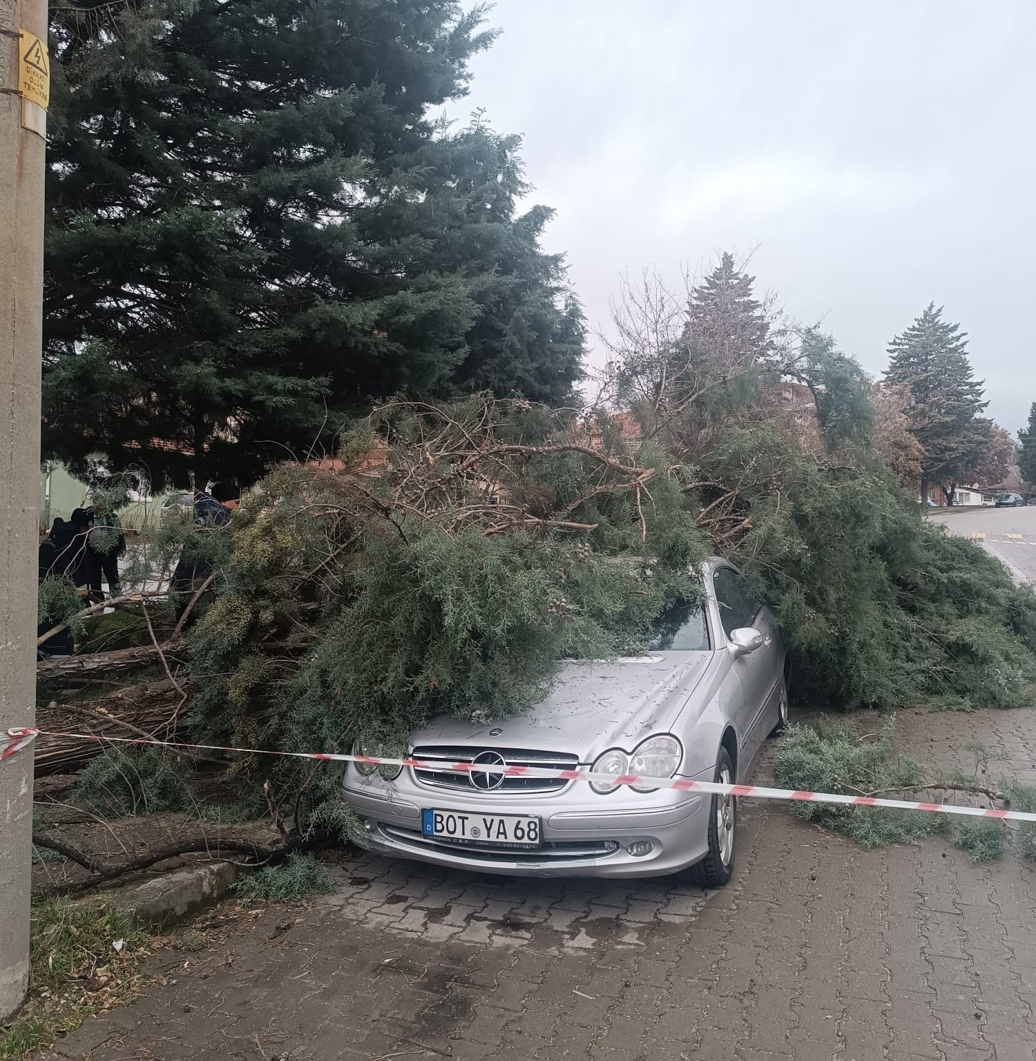 gedizde-siddetli-ruzgar-agaclari-devirdi-binalarda-hasara-sebep-oldu