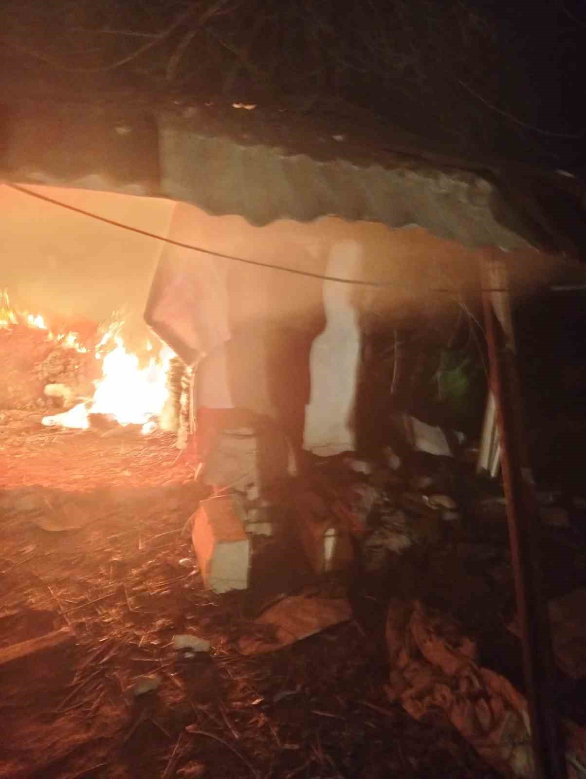 kursun-odunluk-deposunda-cikan-yangin-korkuttu