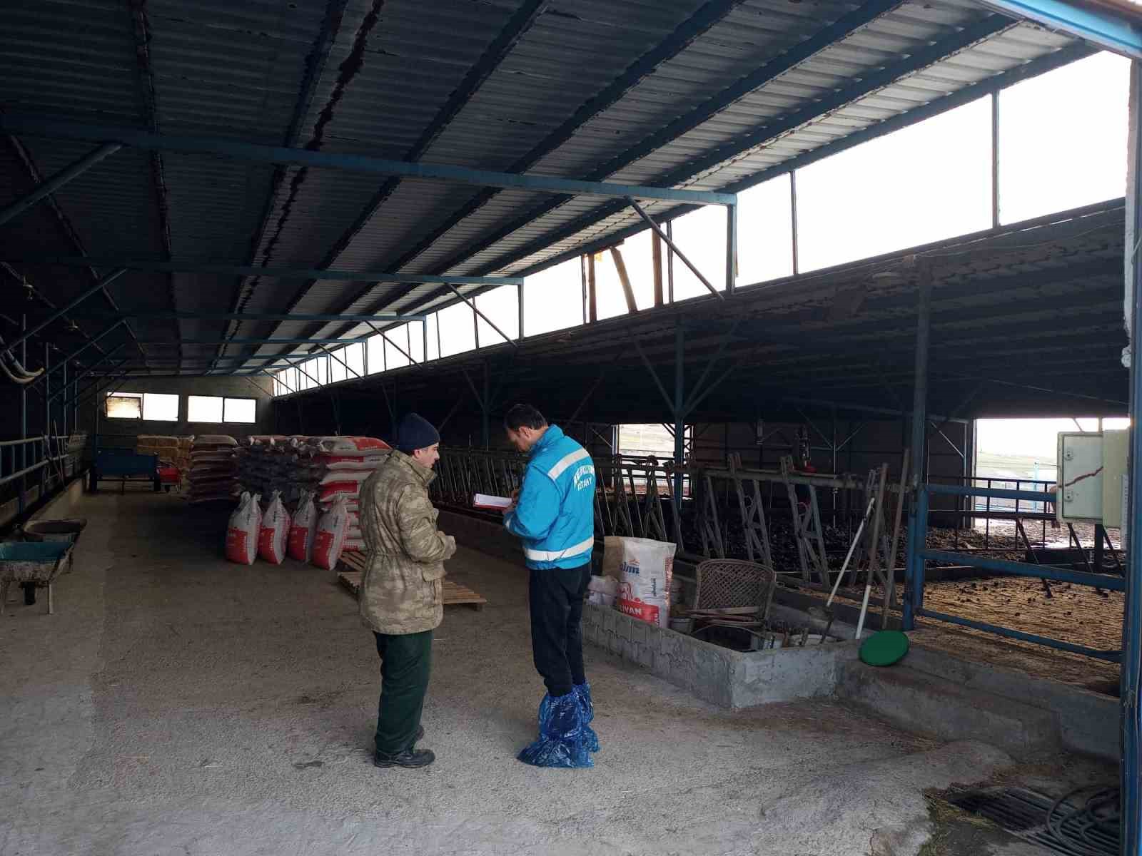 kutahyada-hayvancilik-isletmelerine-yonelik-kapasite-tespiti-suruyor