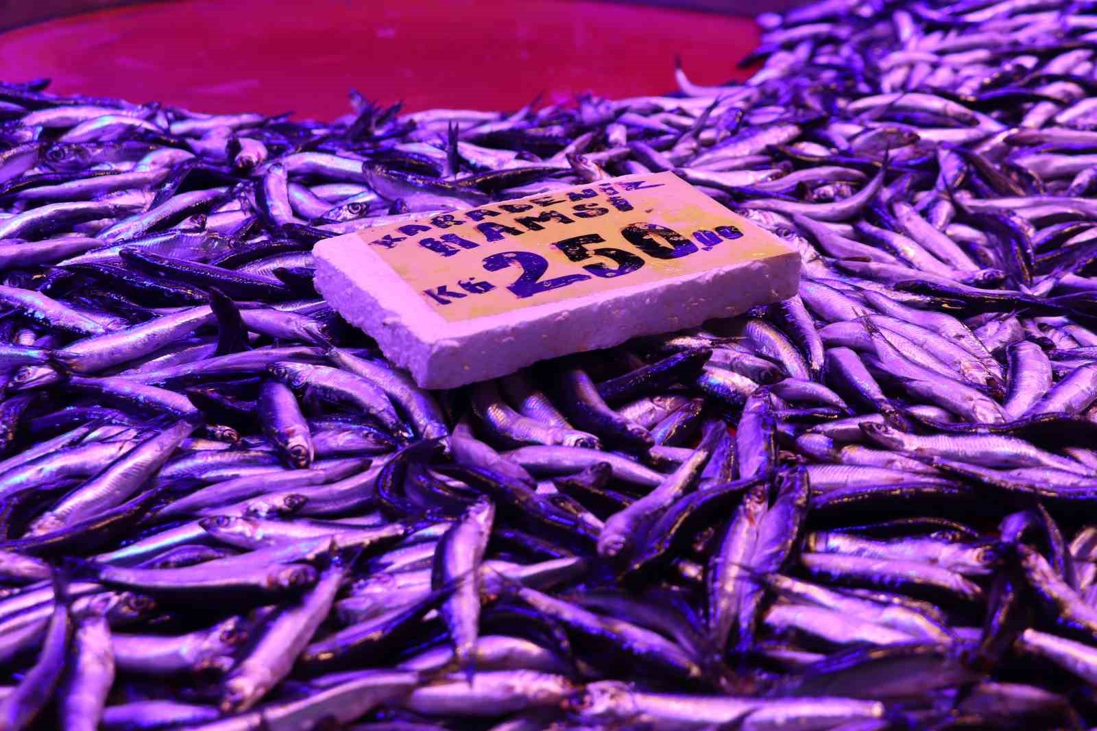 soguk-havalar-balik-tezgahlarini-da-vurdu