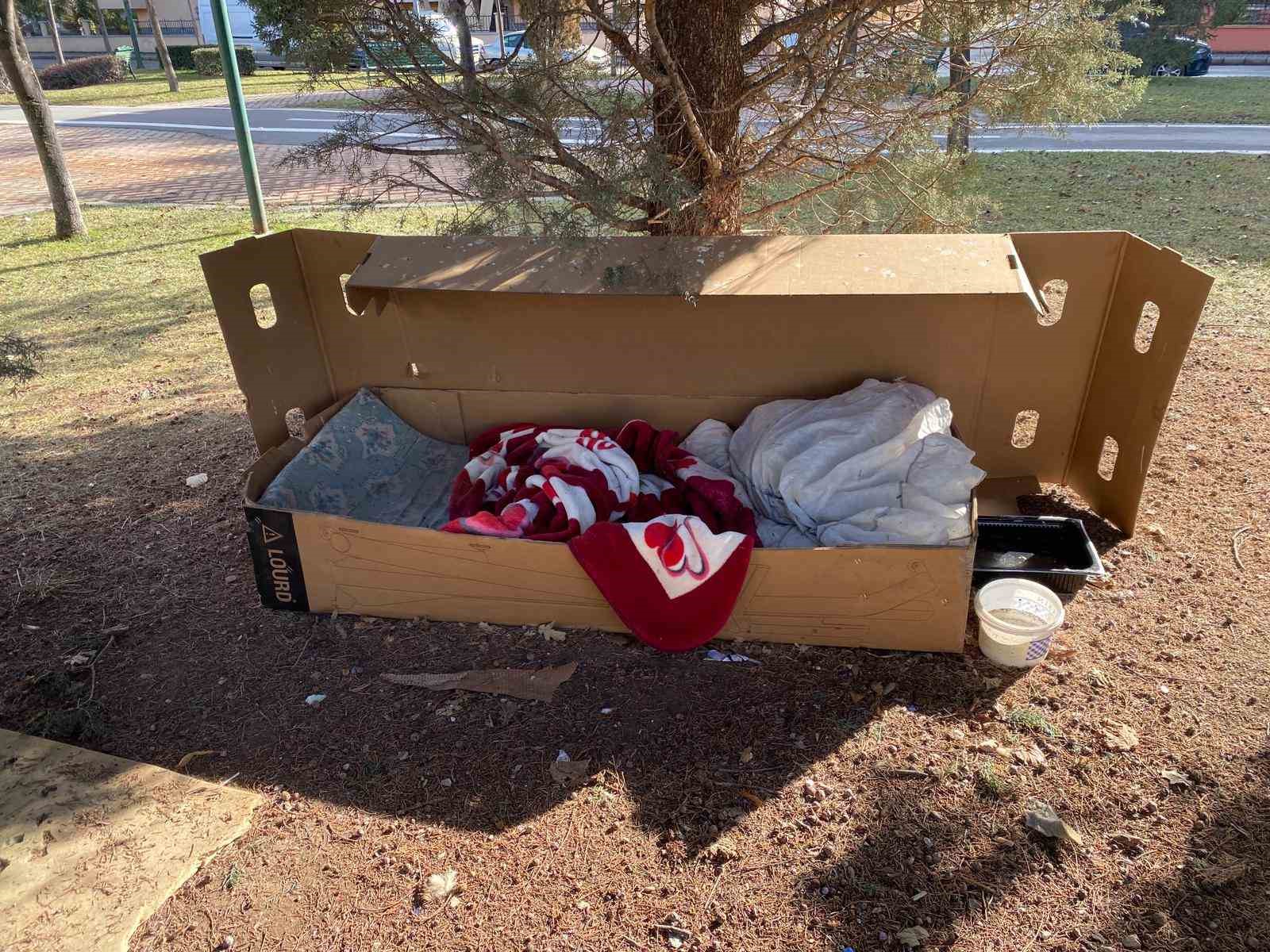 soguk-kis-sartlarinda-hayvanlar-icin-korunakli-kulubeler-yaptilar