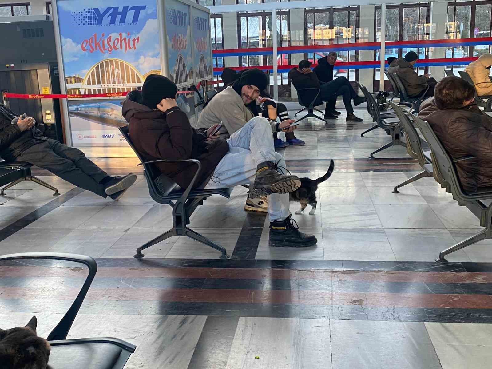 soguktan-usuyen-sokak-kedileri-tren-garina-isindi