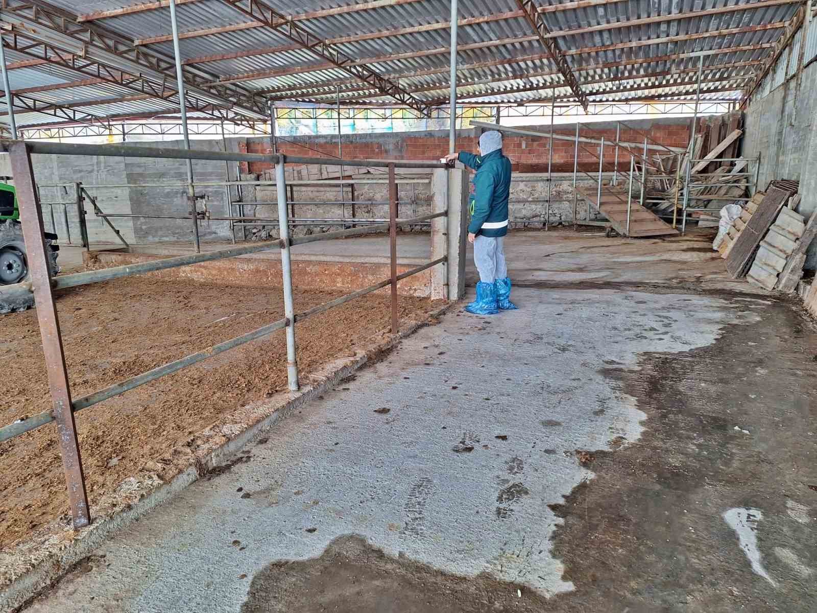 tavsanlida-hayvancilik-isletmelerine-yonelik-besilik-hayvan-kapasite-tespit-calismasi